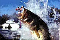 maryland largemouth