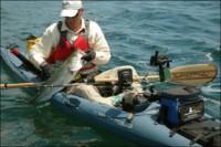 chesapeake bay kayak fishing