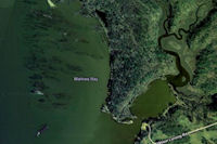 mallows bay ghost fleet potomac river