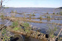 mallows bay potomac river