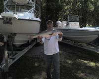 maryland fishing report
