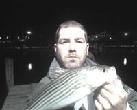 striped bass maryland