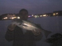 chesapeake beach striper fishing