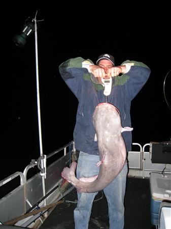 maryland potomac river blue catfish fort washington