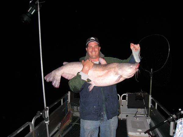 potomac river catfish maryland