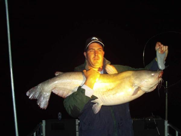 potomac river big catfish