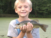 largemouth bass maryland pond fishing