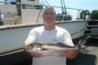 maryland chesapeake bay breaking bluefish