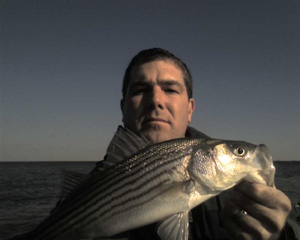 calvert beach jetty fishing striper