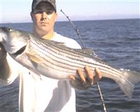 maryland rockfish fishing report
