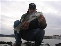 jetty fishing report maryland striped bass