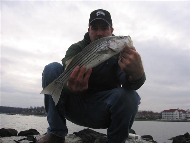 maryland striped bass jetty fishing