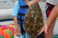 maryland flounder chesapeake bay fishing report