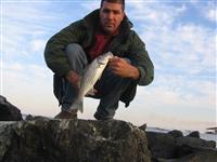 maryland rockfish report