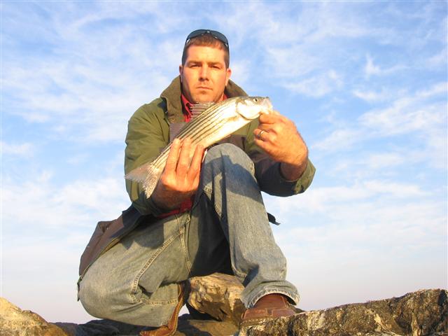 striped bass fishing report
