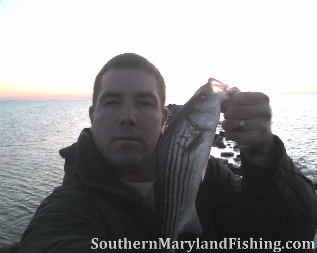 chesapeake bay striper sunrise jetty fishing