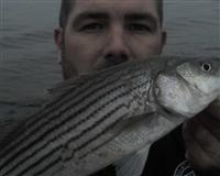 rockfish maryland fishing report photos