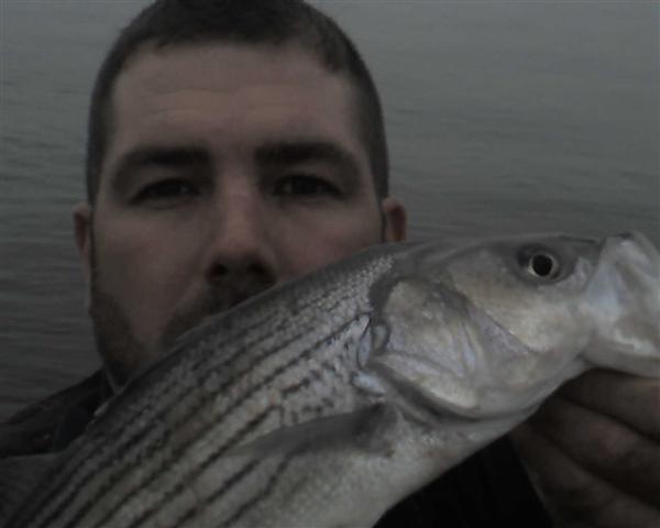 rockfish maryland fishing report photos