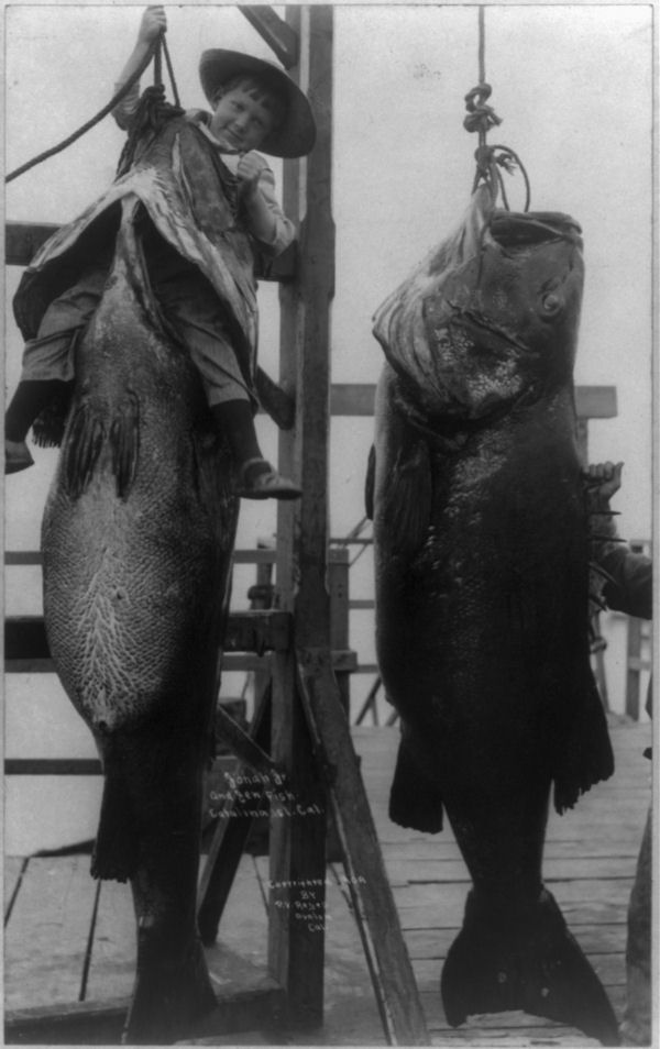 young boy posed in mouth of fish
